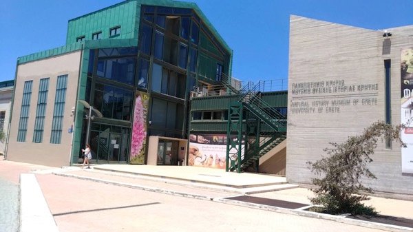 Natural History Museum of Crete